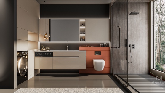 卫浴系统 Sanitary